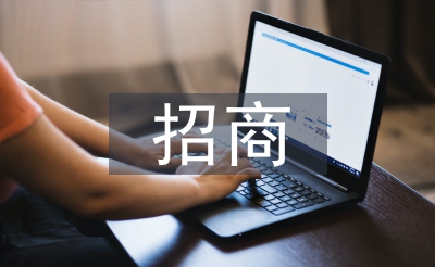 化装品招商使命总结