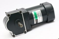 40W~90W SINGLE PHASE WONM GEAR REDUCTION MOTOR